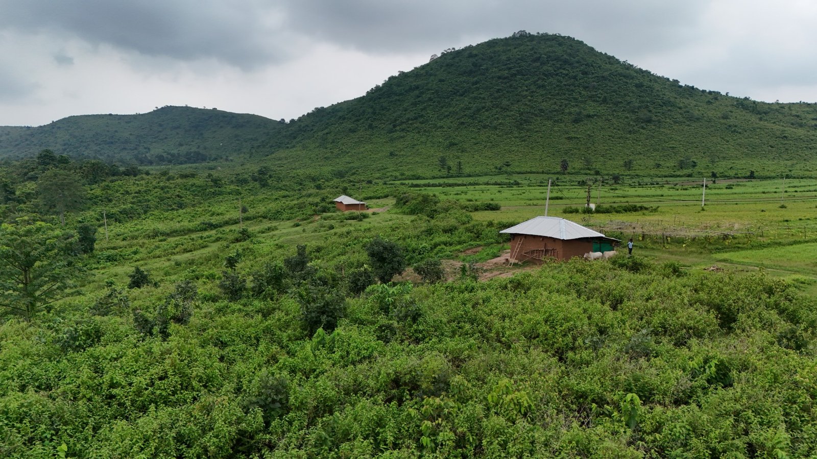 Ajodhya Hills