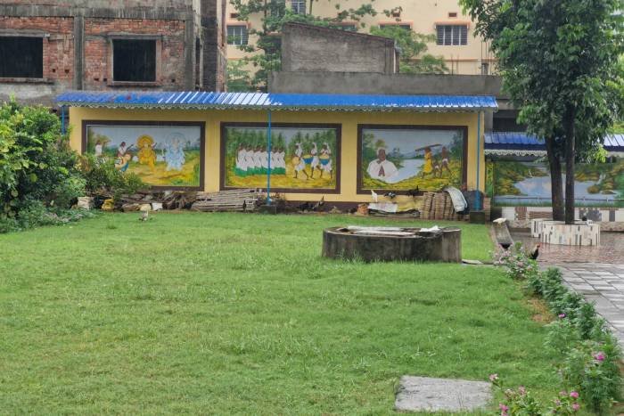 Lawn Area
